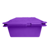 PRESALE SoftShell XL Snap-Close Silicone Food Storage Container