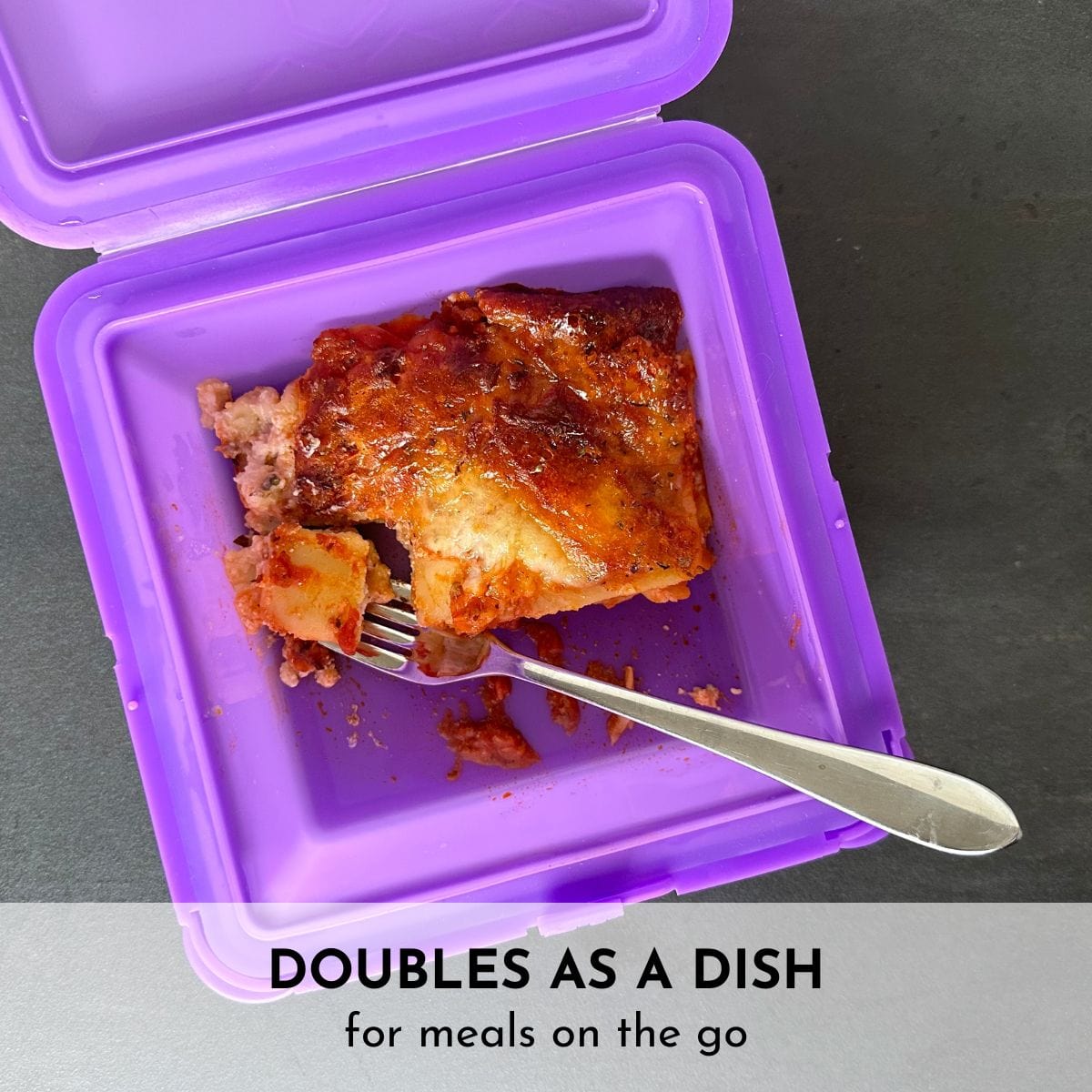 Doubles_as_a_Dish_SoftShell_XL