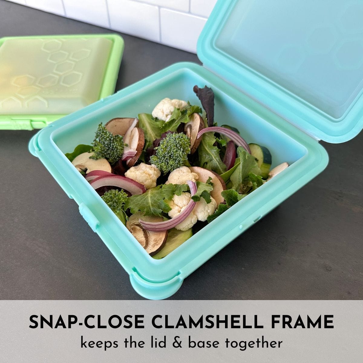 Snap_Close_Clamshell_Frame_Sof